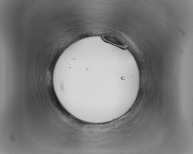 X0000110320025200906111502