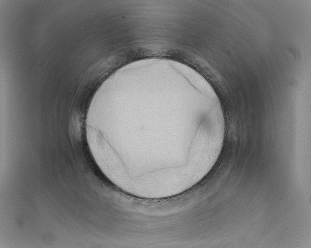 X0000110320026200906111502