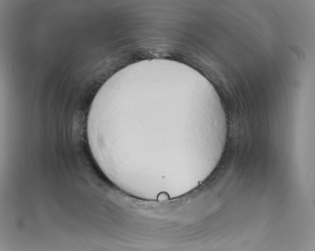 X0000110320030200906111501