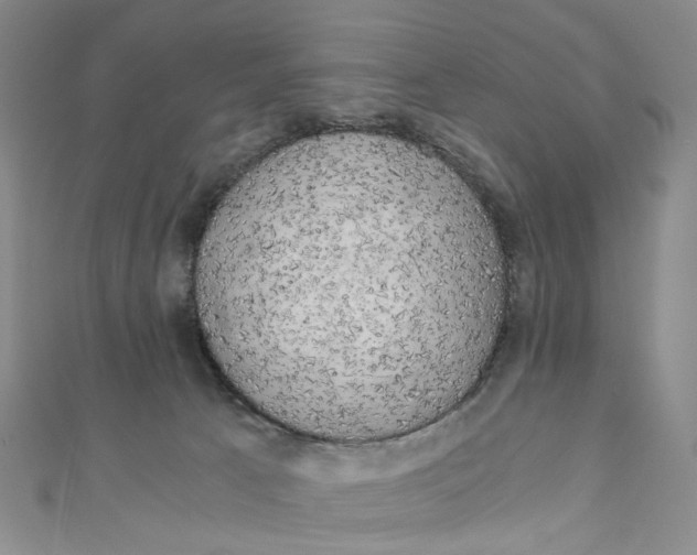 X0000110320033200906111501