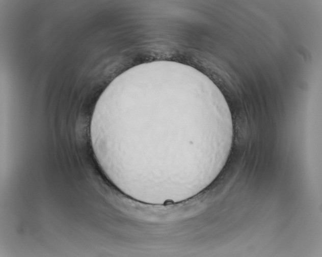 X0000110320034200906111501