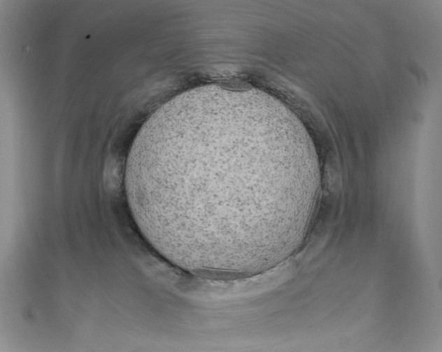 X0000110320037200906111501