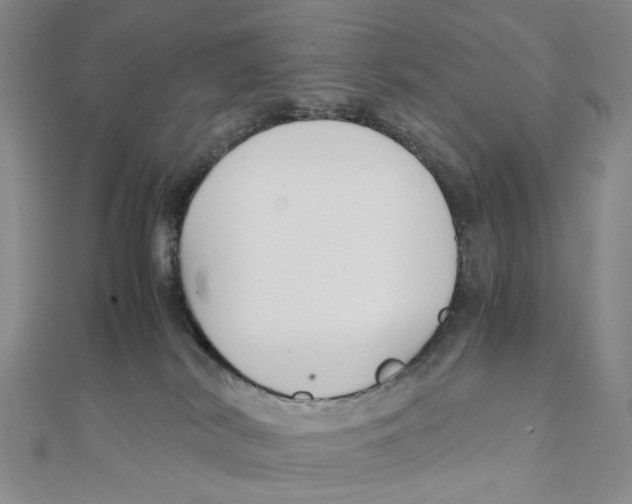 X0000110320038200906111501