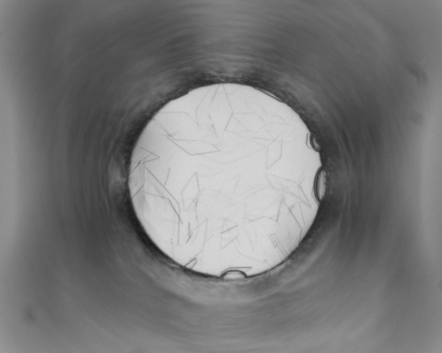 X0000110320040200906111501