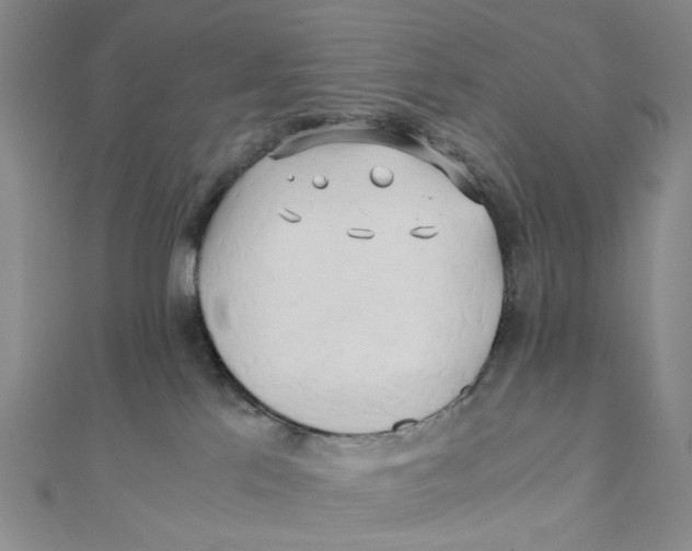 X0000110320041200906111501