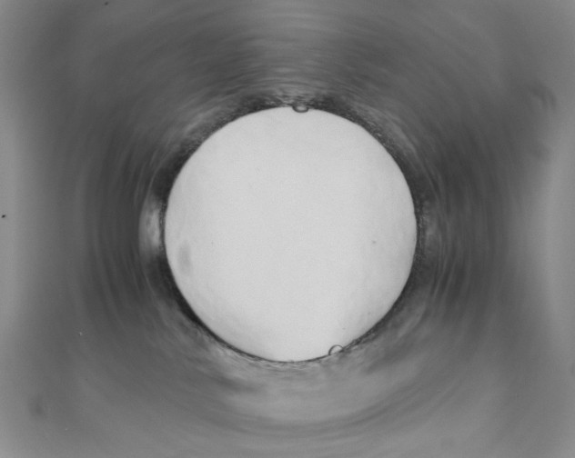 X0000110320042200906111501