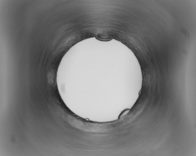 X0000110320044200906111501