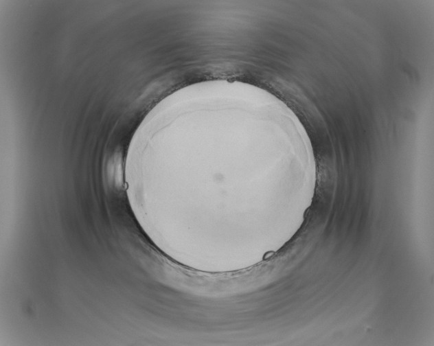 X0000110320046200906111501