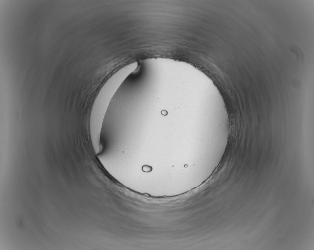 X0000110320047200906111501