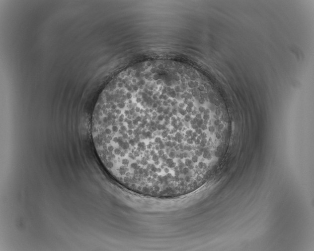 X0000110320048200906111501