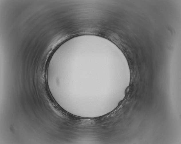 X0000110320050200906111501