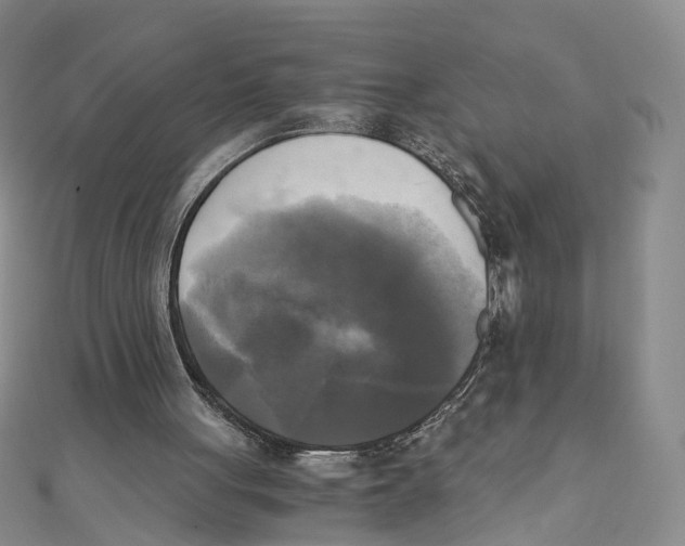 X0000110320051200906111501