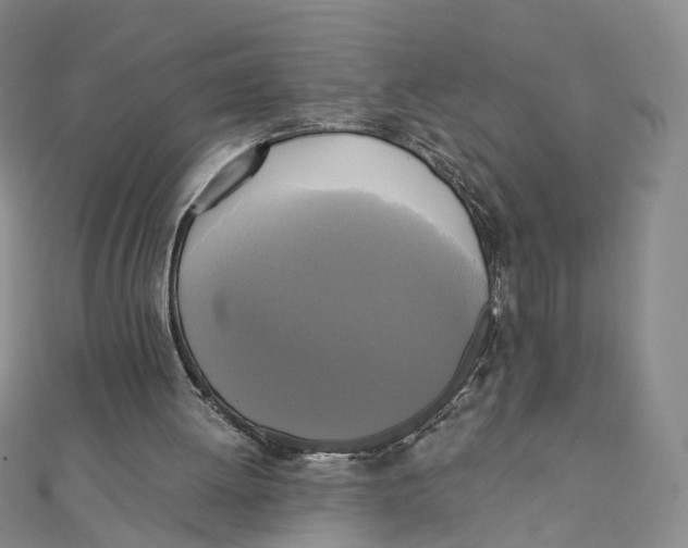 X0000110320052200906111501