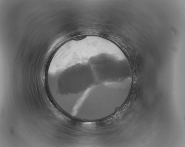 X0000110320053200906111501