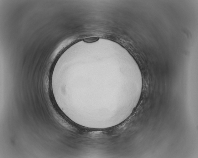 X0000110320054200906111501