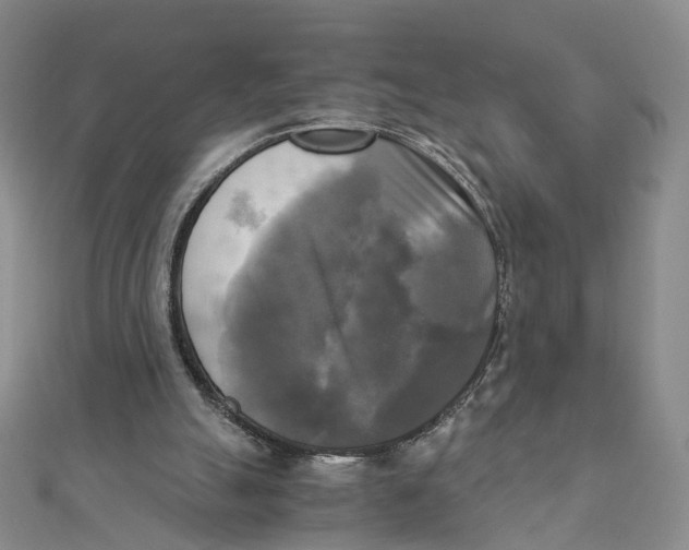 X0000110320055200906111501