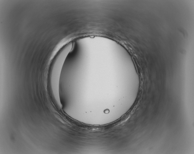 X0000110320056200906111501