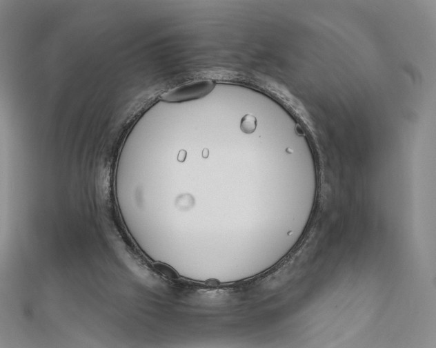 X0000110320057200906111501