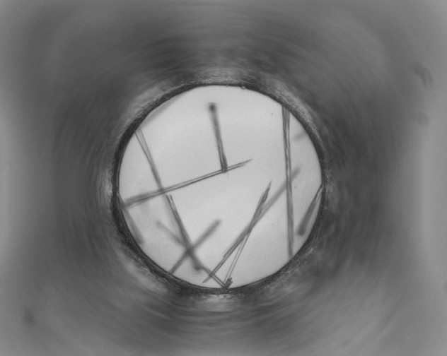 X0000110320059200906111501