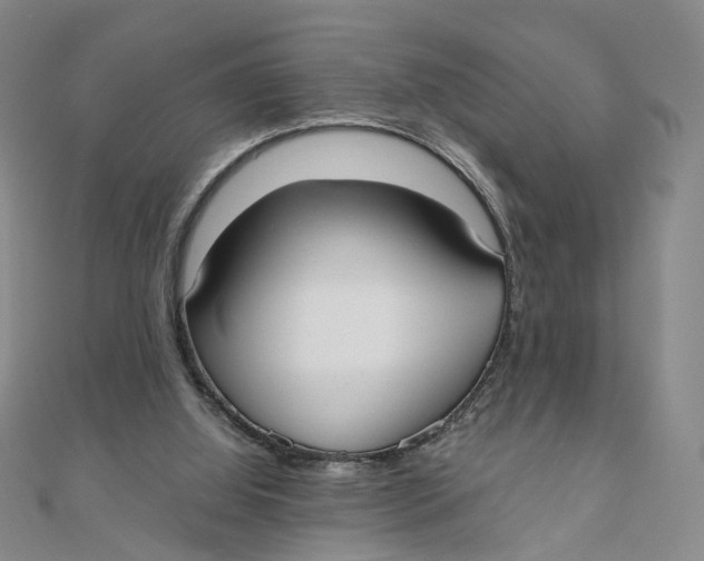 X0000110320060200906111501