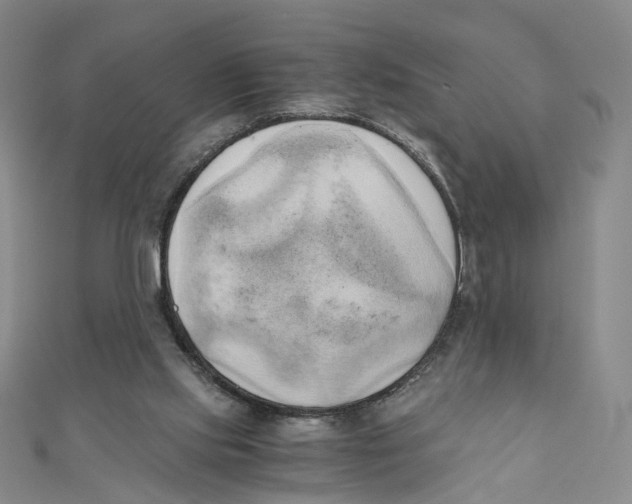 X0000110320061200906111501