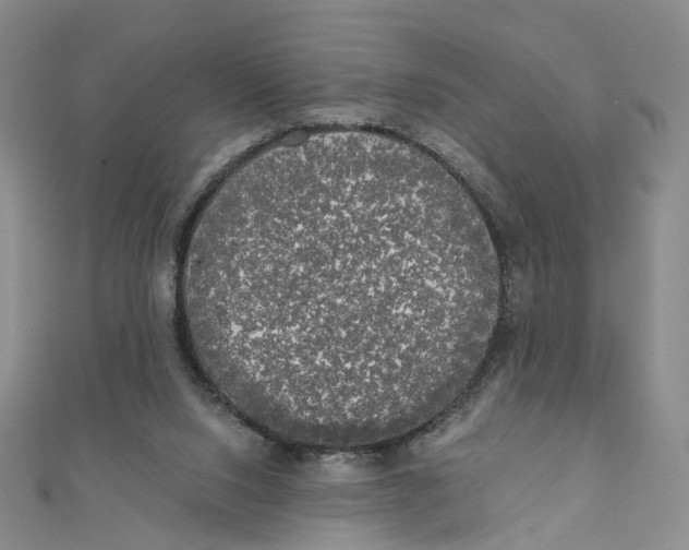 X0000110320064200906111501