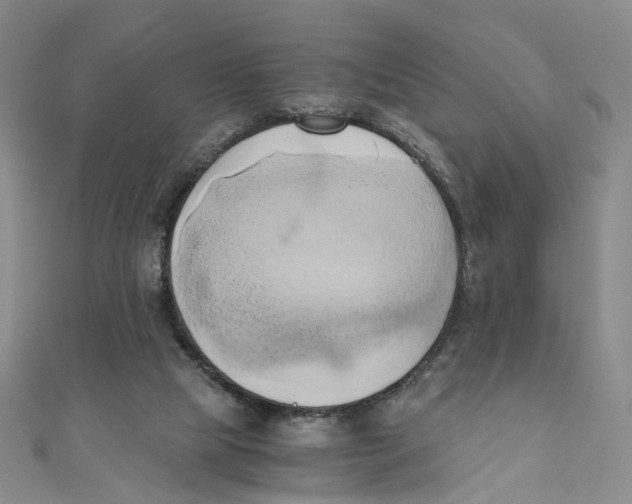 X0000110320065200906111501