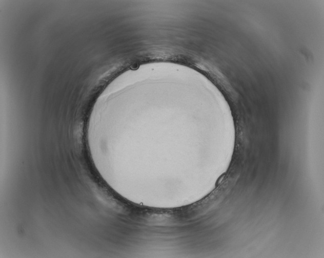 X0000110320066200906111501