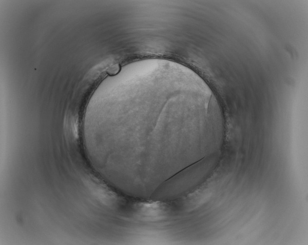 X0000110320068200906111501