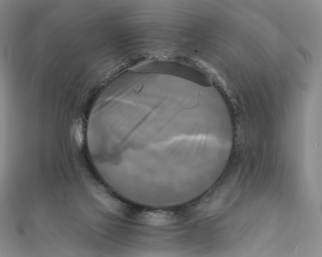 X0000110320069200906111501