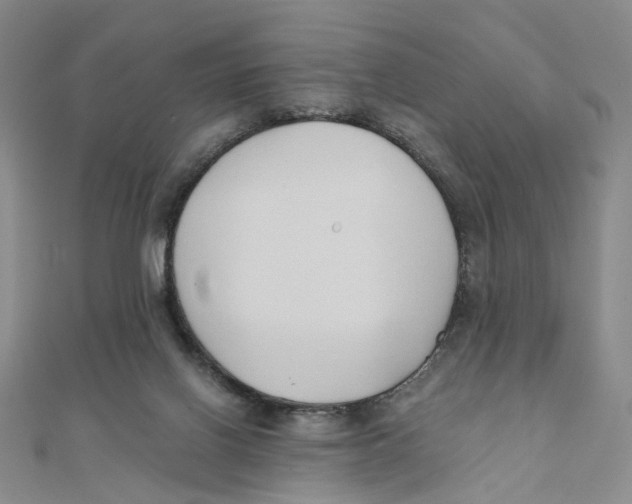 X0000110320070200906111501