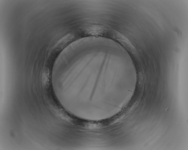 X0000110320073200906111501