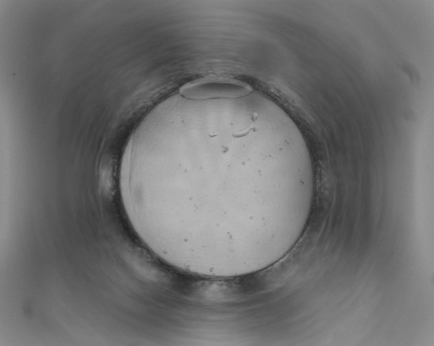 X0000110320074200906111501