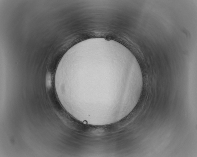 X0000110320075200906111501