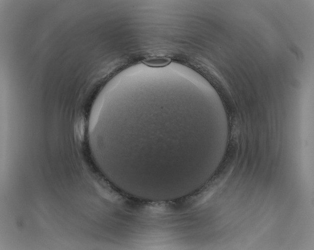 X0000110320076200906111501