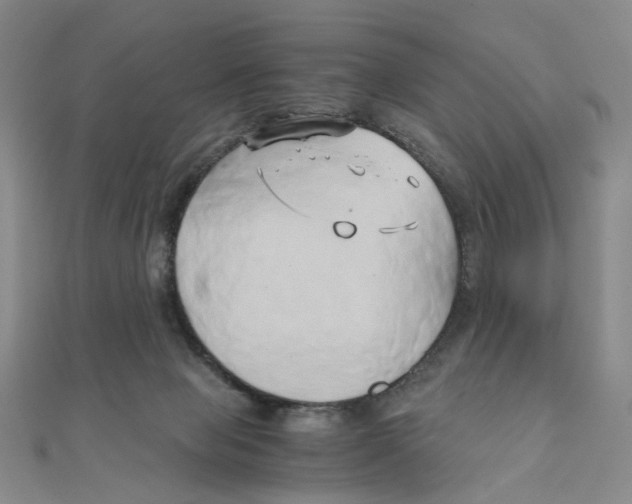 X0000110320077200906111501