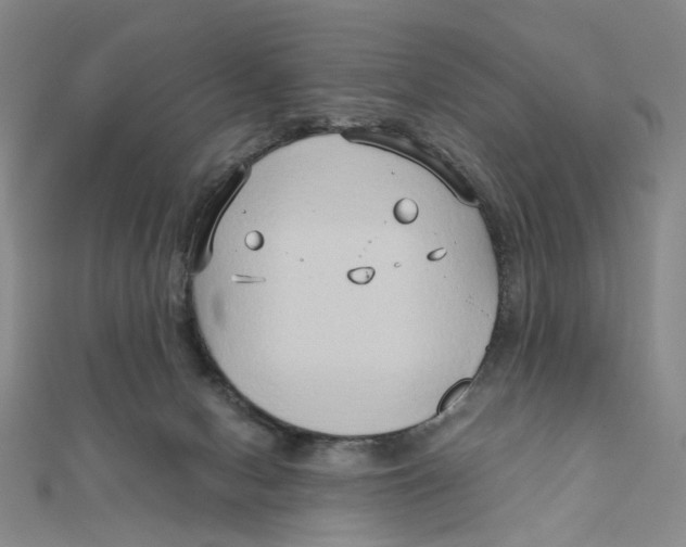 X0000110320078200906111501