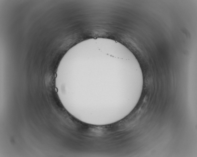 X0000110320079200906111501