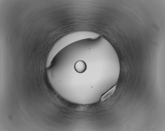 X0000110320080200906111501