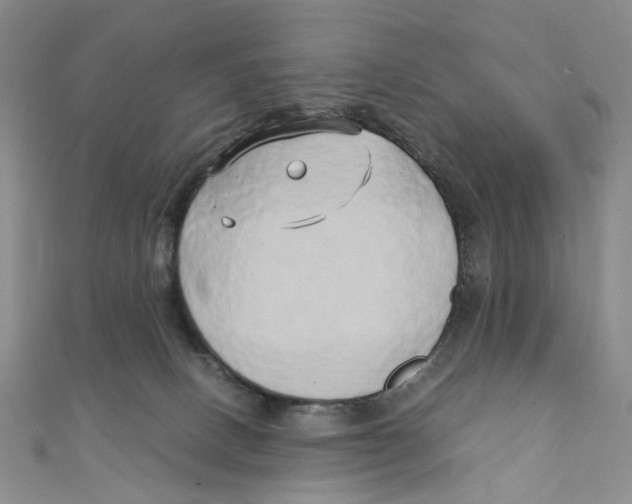 X0000110320082200906111501