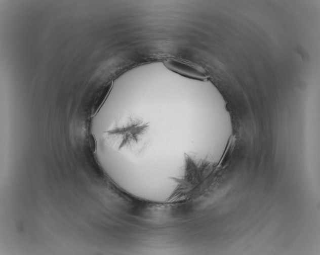 X0000110320084200906111501