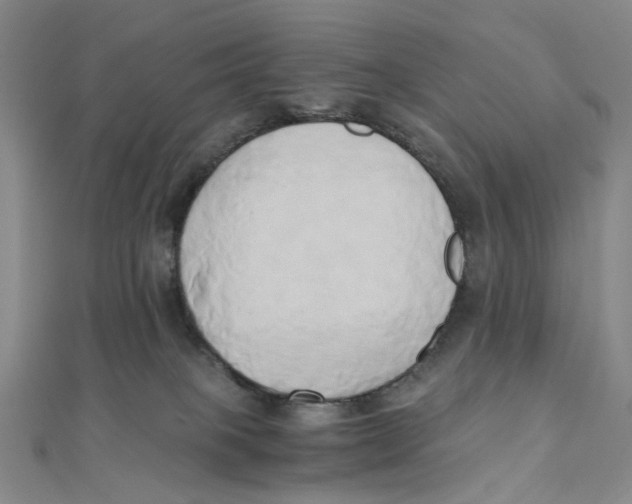 X0000110320085200906111501