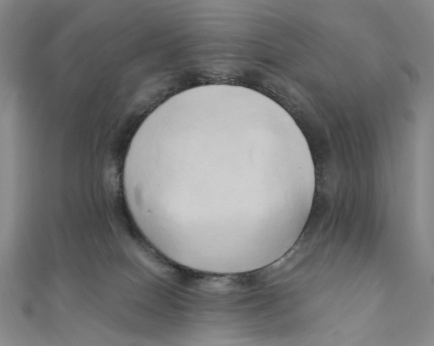 X0000110320086200906111501