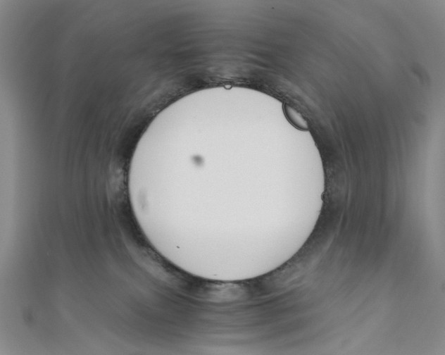 X0000110320087200906111501