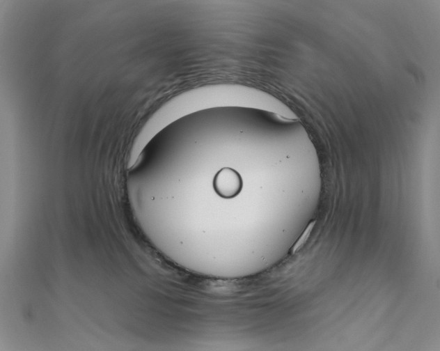 X0000110320088200906111501