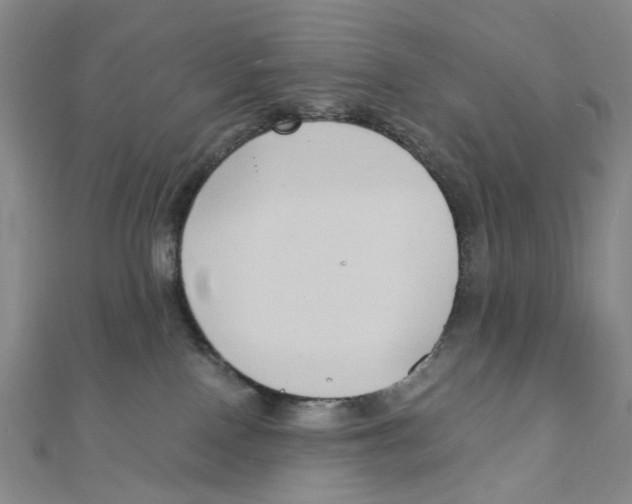 X0000110320090200906111501