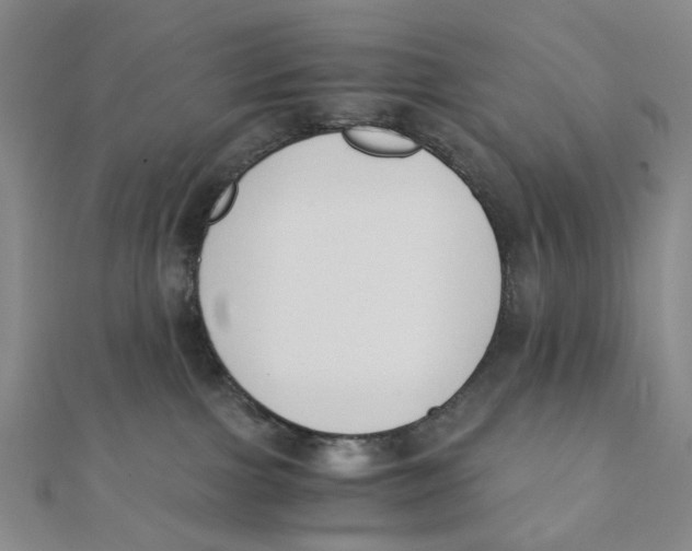 X0000110320091200906111501