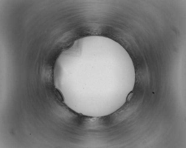 X0000110320092200906111501