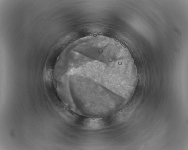 X0000110320093200906111501