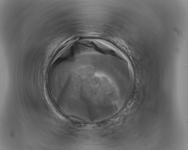 X0000110320097200906111501